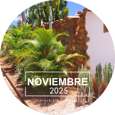 2025-11-NOVIEMBRE