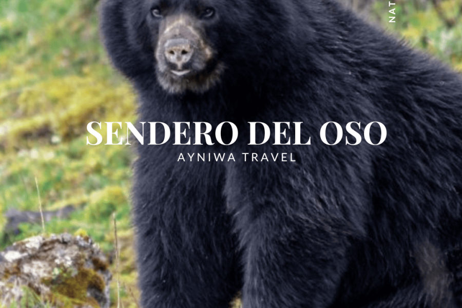 CHINGAZA: Sendero Del Oso  | Plan Pasadía