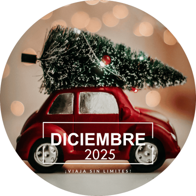 2025-12-DICIEMBRE