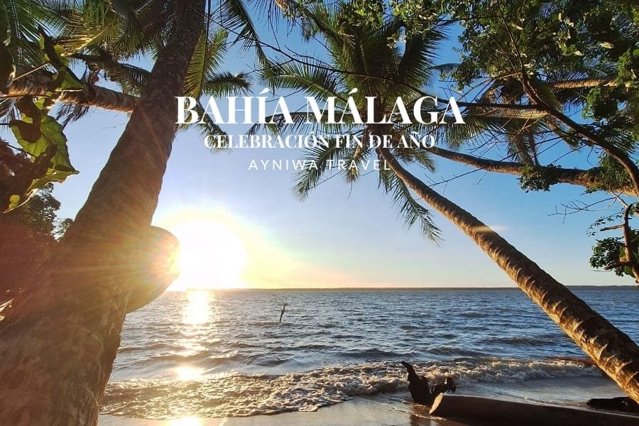 BAHÍA MÁLAGA: CELEBRACIÓN FIN DE AÑO  | Plan 4 Días