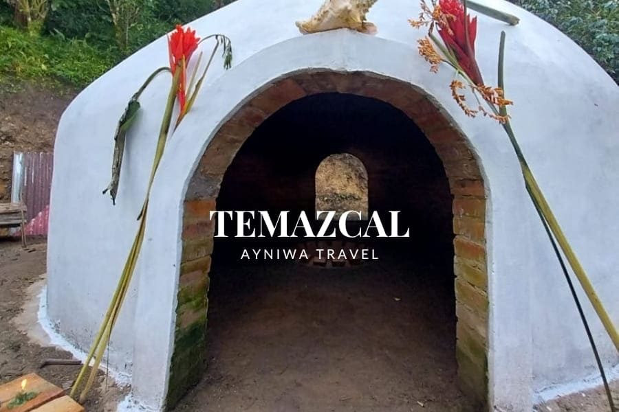 TEMAZCAL | Pasadía