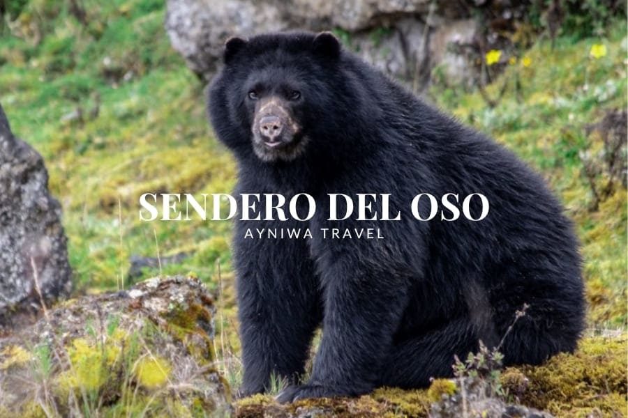 CHINGAZA: SENDERO DEL OSO | Pasadía
