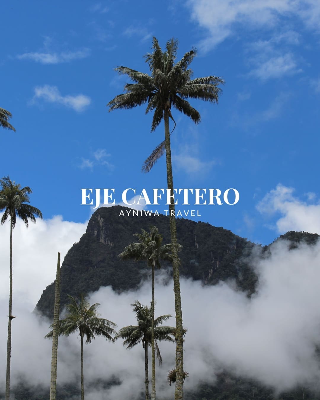 EjeCafetero_DIC2025-2