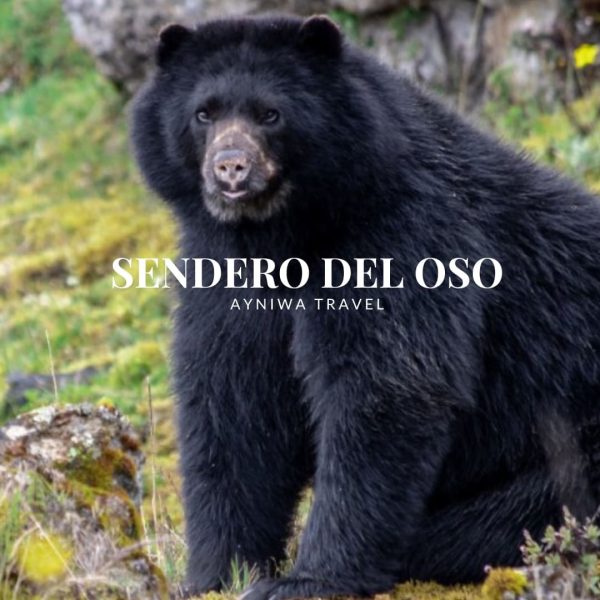 SenderoDelOso_DIC2025-1