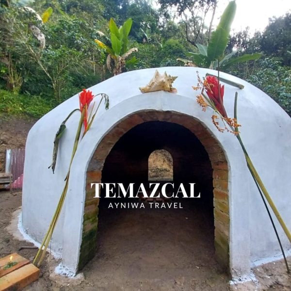Temazcal_NOV2025-1