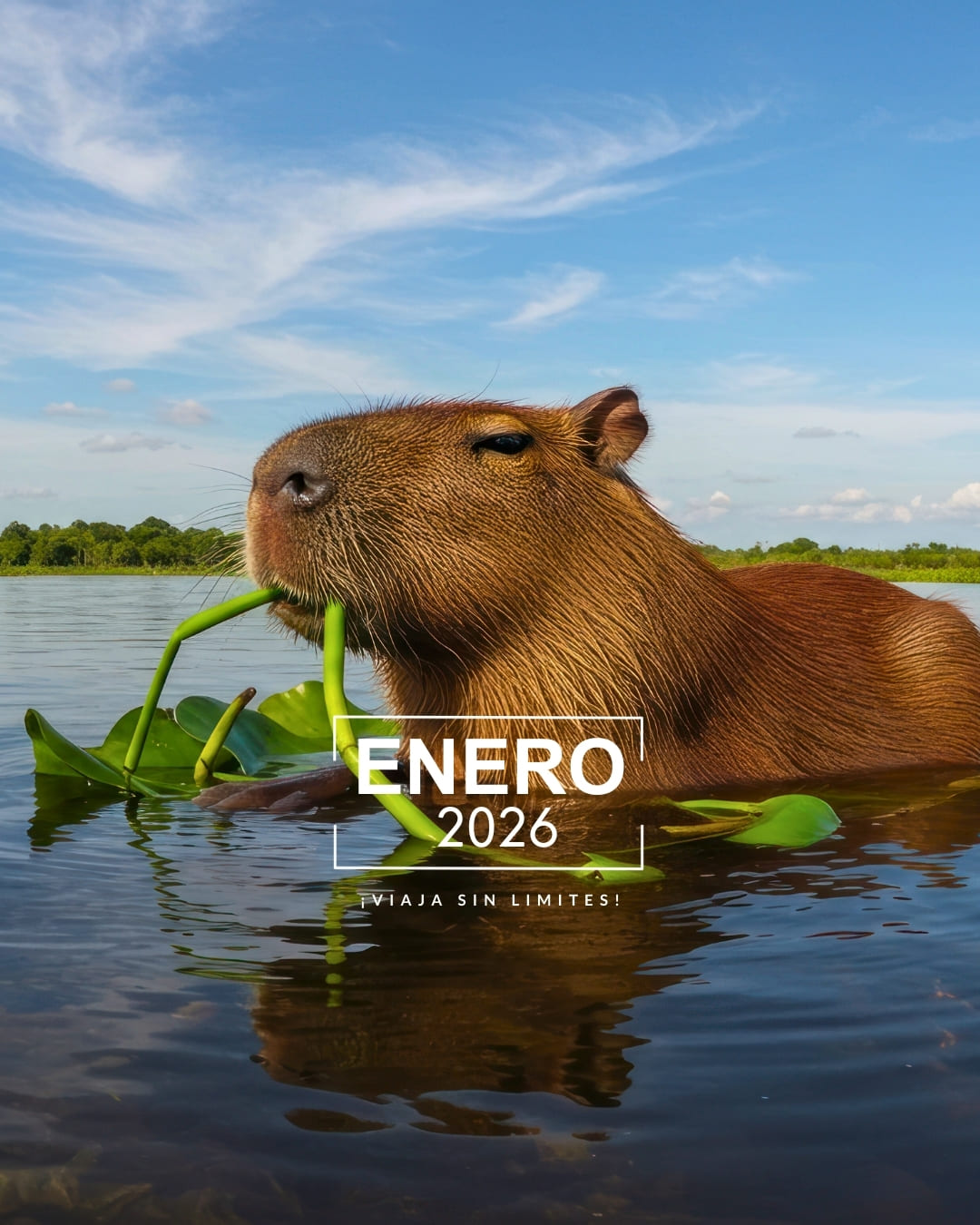 AyniwaTravelPortada_Enero2026