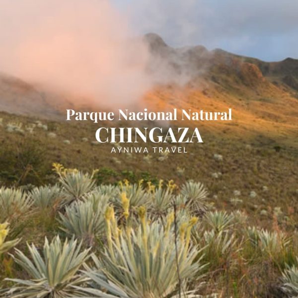 AyniwaTravel_CHINGAZA-1