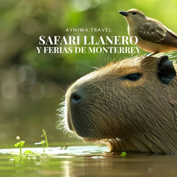 AyniwaTravel_SAFARILLANEROYFERIASDEMONTERREY-1