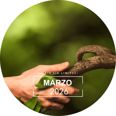 2026-03-MARZO