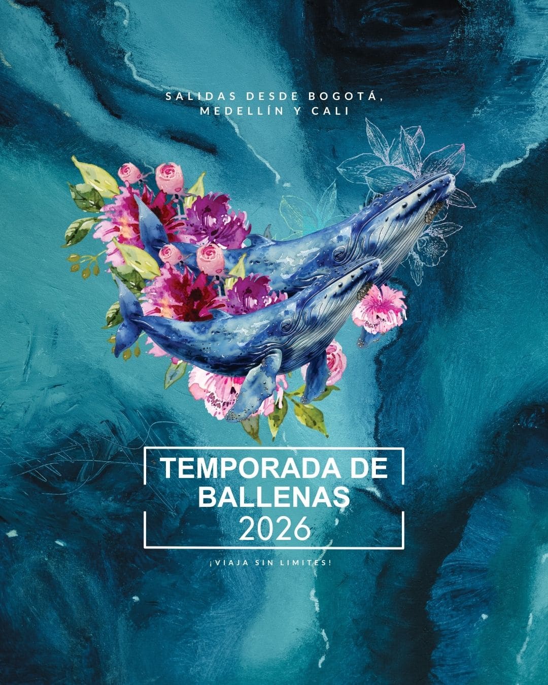 AyniwaTravelPortada_TemporadaDeBallenas2026