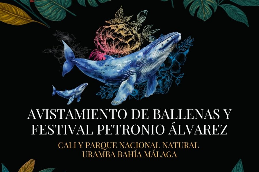 AVISTAMIENTO DE BALLENAS Y FESTIVAL PETRONIO ÁLVAREZ | Plan 4 Días