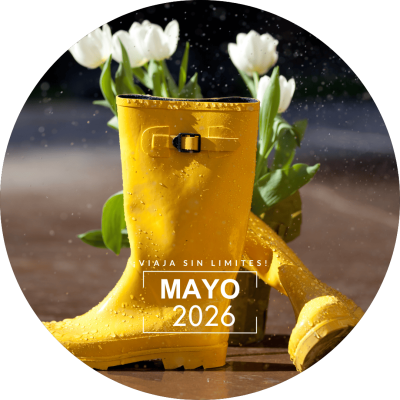 2026-05-MAYO